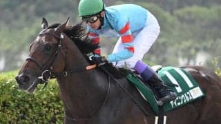 【プロキオンS】売上53億3894万1900円で昨年から約17億円増加