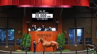 【セレクトセール2024】シュガーショックの2023は2億円 「ショウナン」の冠名で知られる国本哲秀氏が落札 今年10頭目の億超え