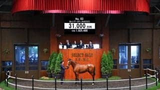 【セレクトセール2024】カレンブーケドールの2023が3億円超え