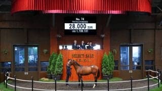 【セレクトセール2024】ディアドラ全弟が2億8000万円…金子真人ホールディングス（株）が落札