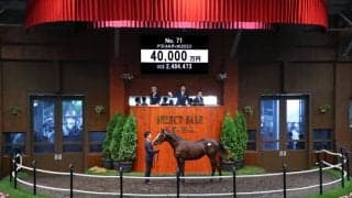 【セレクトセール2024】キタサンブラック産駒が4億円…（株）ダノックスが落札