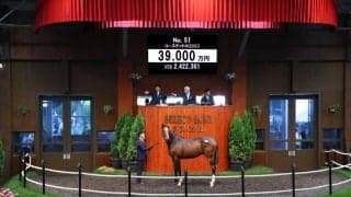 【セレクトセール2024】コーステッドの2023が3億円超え！…ダノックスが落札