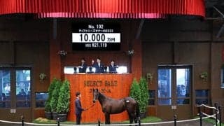 【セレクトセール2024】ティファニーズオナーの2023は1億円 MKレーシングが落札