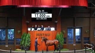 【セレクトセール2024】コンテスティッドの2023は1億7000万円 TM GROUPが落札