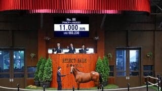 【セレクトセール2024】アルビアーノの2023は1億1000万円 TNレーシングが落札