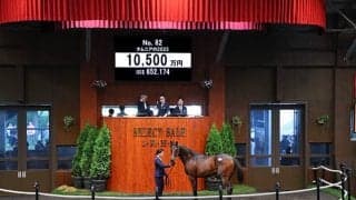 【セレクトセール2024】タムニアの2023は1億500万円 (有)ウエストヒルズが落札