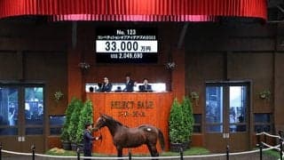 【セレクトセール2024】コンペティションオブアイデアズの2023は3億3000万円 「ダノン」の冠名で知られるダノックスが落札