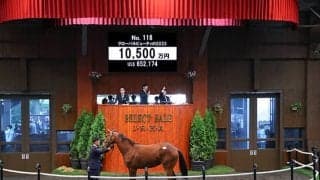 【セレクトセール2024】グローバルビューティの2023は1億500万円 ロデオジャパンが落札