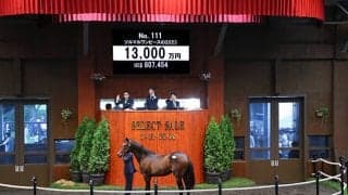 【セレクトセール2024】ツルマルワンピースの2023は1億3000万円でTM GROUPが落札