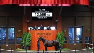 【セレクトセール2024】ソーメニーウェイズの2023は1億3500万円 ヒシイグアスなどを所有する阿部雅英氏が落札