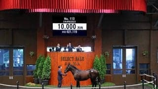 【セレクトセール2024】近親にエアメサイアがいるジルダの2023は1億円 TNレーシングが落札