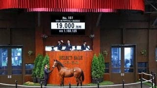 【セレクトセール2024】リリーオブザヴァレーの2023は1億9000万円 「ベラジオ」の冠名で知られる林田祥来氏が落札