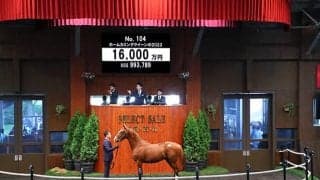 ウマ娘・藤田晋オーナーがホームカミングクイーンの2023を1億6000万円で落札