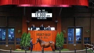 【セレクトセール2024】カデナダムールの2023は1億5000万円 「ミッキー」の冠名で知られる野田みづき氏が落札
