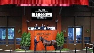 【セレクトセール2024】アンブレラデートの2023は1億2000万円 「リアライズ」の冠名で知られる今福洋介氏が落札	