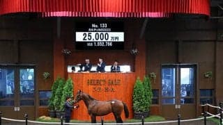 【セレクトセール2024】菊花賞馬アスクビクターモアの半弟 カルティカの2023は2億5000万円でTNレーシングが落札