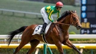 函館2歳S想定騎手19頭 サトノカルナバルは佐々木大輔騎手、エンドレスサマーは横山和生騎手