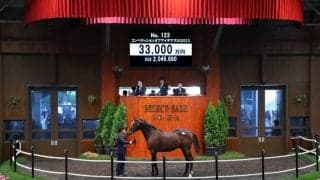 【セレクトセール2024】エピファネイア産駒が3億3000万円…ダノックスが落札