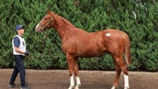 【セレクトセール2024】ホームカミングクイーンの2023が1億6000万円…藤田晋氏が落札