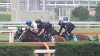 斉藤崇史厩舎にゆかりの血統 センツブラッドが小倉で初陣/関西馬メイクデビュー情報