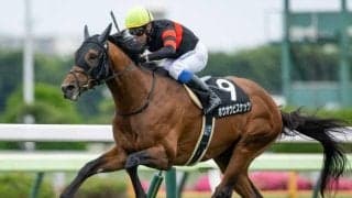 函館記念想定騎手20頭 ホウオウビスケッツは岩田康誠騎手、サヴォーナは池添謙一騎手