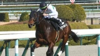 【AI予想・函館記念】前走で重賞に出走した馬に良績が集中！ 本命候補は待望の初タイトルを狙う3頭