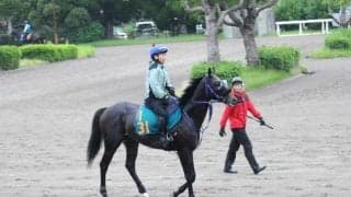 一族には桜花賞馬ハープスターも 福島で初陣Vを目指すマックスキュー/関東馬メイクデビュー情報