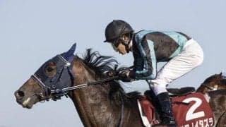 【先週のJRA抹消馬】21年のセントライト記念を制したアサマノイタズラ、芝短距離で活躍のトキメキなど