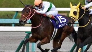 種牡馬エピファネイア注目の一戦!? 函館2歳Sで初のスプリント重賞制覇狙う