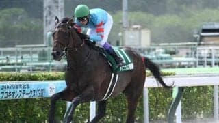ヤマニンウルスが無傷5連勝で重賞勝利 大きな馬体の中にみなぎるパワーは母譲り