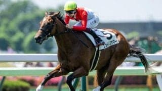 【函館2歳S展望】2歳世代最初のJRA重賞、前走4角5番手以下の馬は割り引き