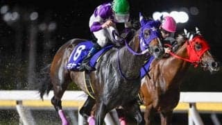 【大井・優駿スプリント枠順】ギガースは8枠16番、カヌレフレイバーは6枠12番