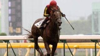 ローカル開催で積極的に狙いたい種牡馬は？ 開催別成績を比較してみた