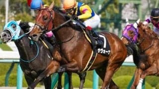 GIIで2着2回の実績馬 函館記念で待望のタイトル獲得なるか