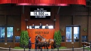 【セレクトセール2024】バイバイベイビーの2024は1億6500万円 横井良明氏が落札