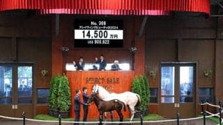 【セレクトセール2024】アレイヴィングビューティの2024は1億4500万円 「ダノン」の冠名で知られるダノックスが落札