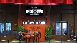 ウマ娘・藤田オーナーがシンプリーラヴィシングの2024を2億4000万円で落札 2日目の億超え1番乗り！