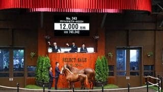 【セレクトセール2024】アドマイヤセプターの2024は1億2000万円 中水英紀氏が落札