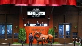 【セレクトセール2024】マルケサの2024は1億3000万円 仙波りり子氏が落札