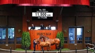 【セレクトセール2024】スタートアップの2024は1億1500万円 ペリエールなどを所有の長谷川祐司氏が落札