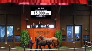 【セレクトセール2024】唯一のマカヒキ産駒は金子真人オーナー！ 1億5000万円で落札