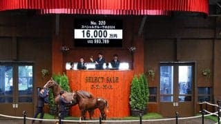 【セレクトセール2024】曽祖母にエアグルーヴがいるスペシャルグルーヴの2024は1億6000万円 「ホウオウ」の冠名で知られる小笹芳央氏が落札