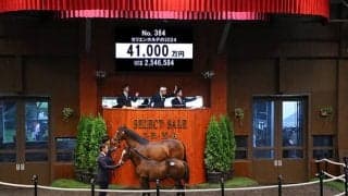 【セレクトセール2024】シュネルマイスターの半弟は4億1000万円 ミスタージーティーなどを所有の田畑利彦氏が落札