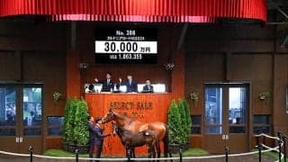 【セレクトセール2024】カレドニアロードの2024は3億円 「ダノン」の冠名で知られる(株)ダノックスが落札