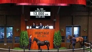 【セレクトセール2024】ジャウスターの2024は1億3000万円 ムサシレーシングが落札