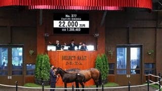 【セレクトセール2024】ジョイニキータの2024は2億2000万円 「ホウオウ」の冠名で知られる小笹芳央氏が落札