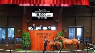 【セレクトセール2024】グローバルビューティの2024は1億6000万円 「ダノン」の冠名で知られる(株)ダノックスが落札