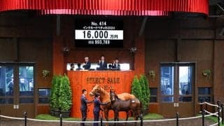 【セレクトセール2024】インクルードベティの2024は1億6000万円 ミスタージーティーなどを所有の田畑利彦氏が落札