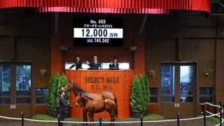 【セレクトセール2024】ブギーダモーレの2024は1億2000万円 「ポッド」の冠名で知られる小川眞査雄氏が落札