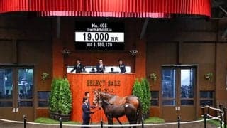 【セレクトセール2024】ウマ娘・藤田晋オーナーが10頭目の落札！ コントレイル産駒を1億9000万円で